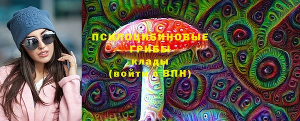 спиды Дмитриев