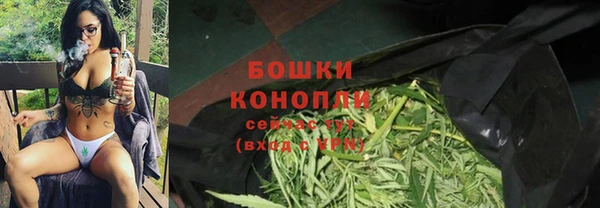 спиды Дмитриев