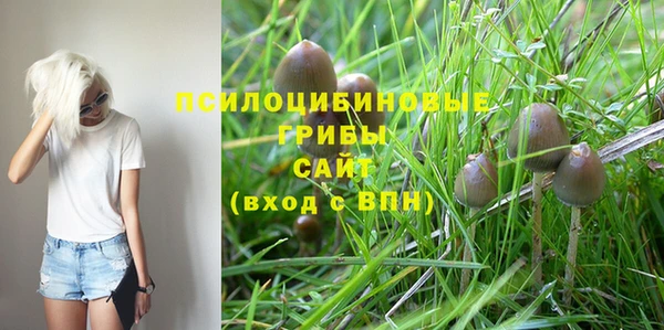 спиды Дмитриев