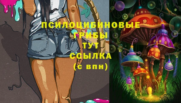 соль курить ск Дмитровск